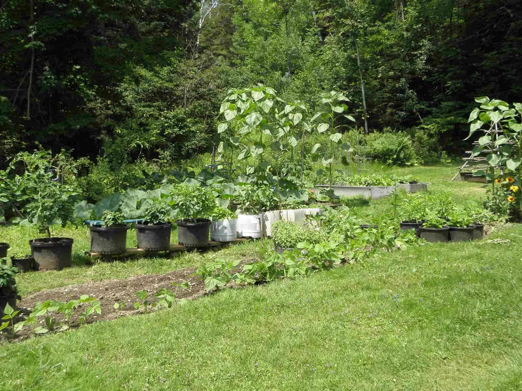 792 Agassiz Street Bethlehem NH 03574