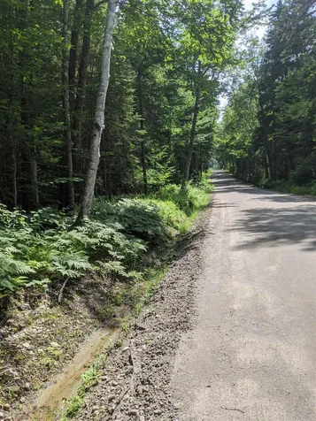0 Philbrick Hill Road Springfield NH 03284