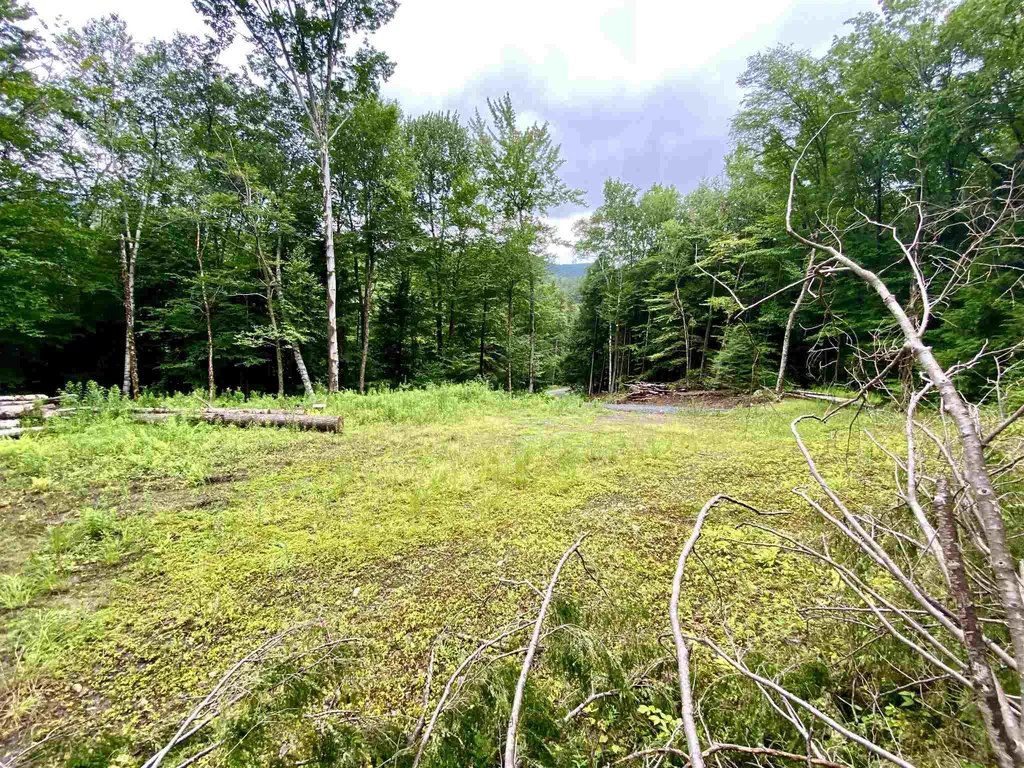 13 & 14 Andrea Drive Stamford VT 05352