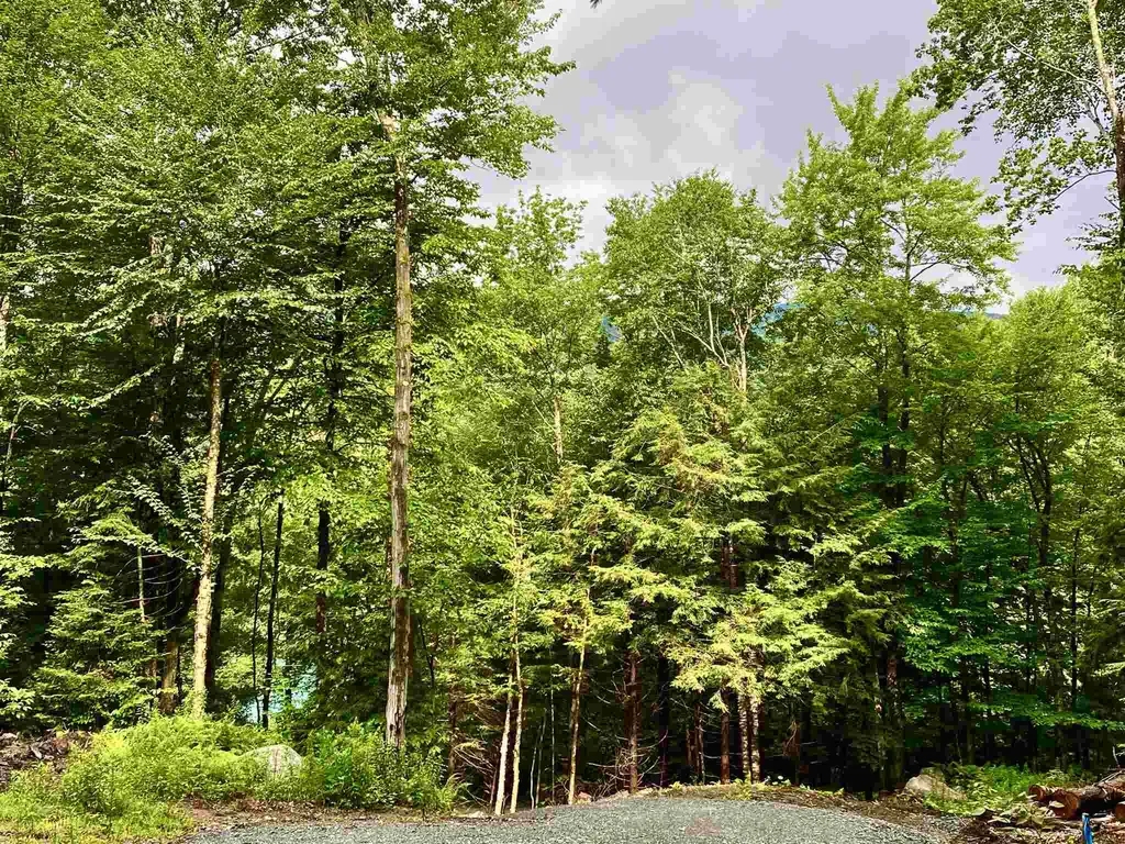 13 & 14 Andrea Drive Stamford VT 05352