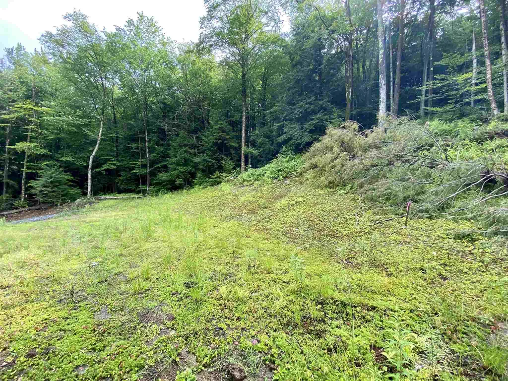 13 & 14 Andrea Drive Stamford VT 05352