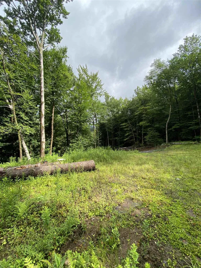 13 & 14 Andrea Drive Stamford VT 05352