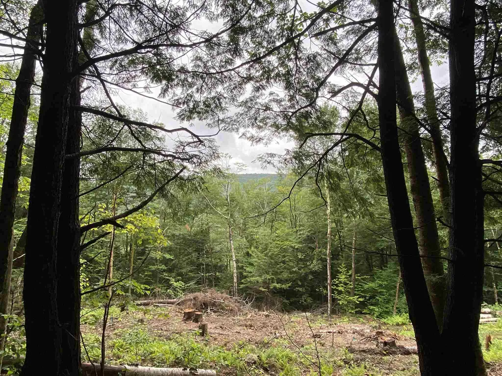 13 & 14 Andrea Drive Stamford VT 05352