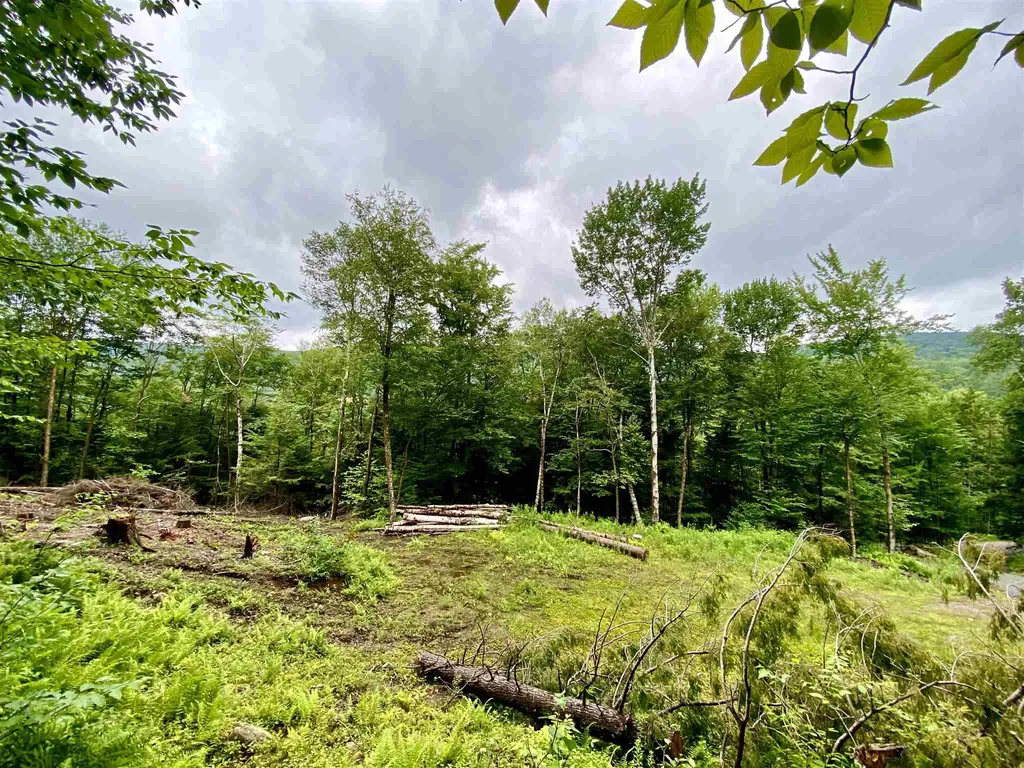 13 & 14 Andrea Drive Stamford VT 05352