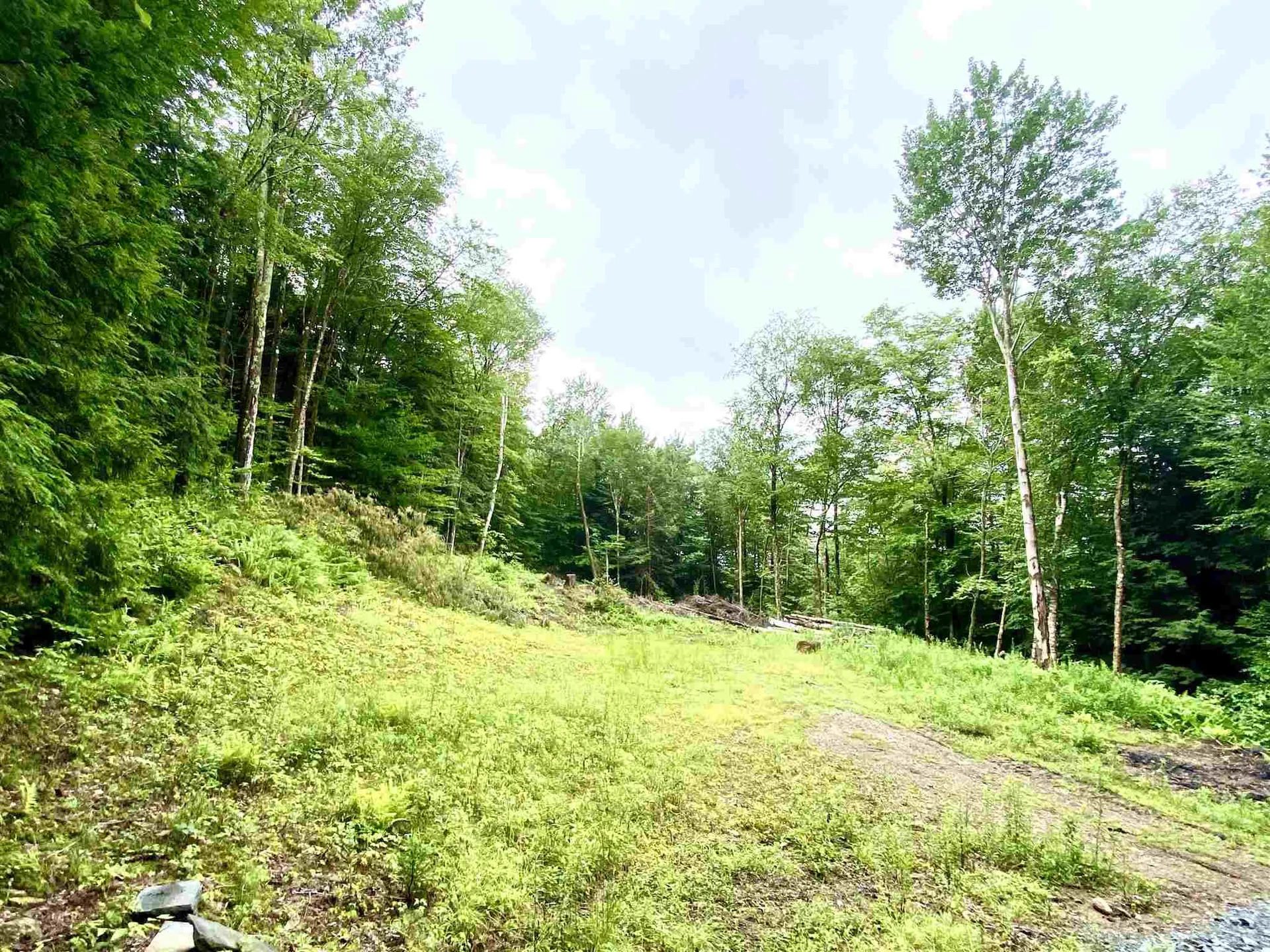 13 & 14 Andrea Drive Stamford VT 05352