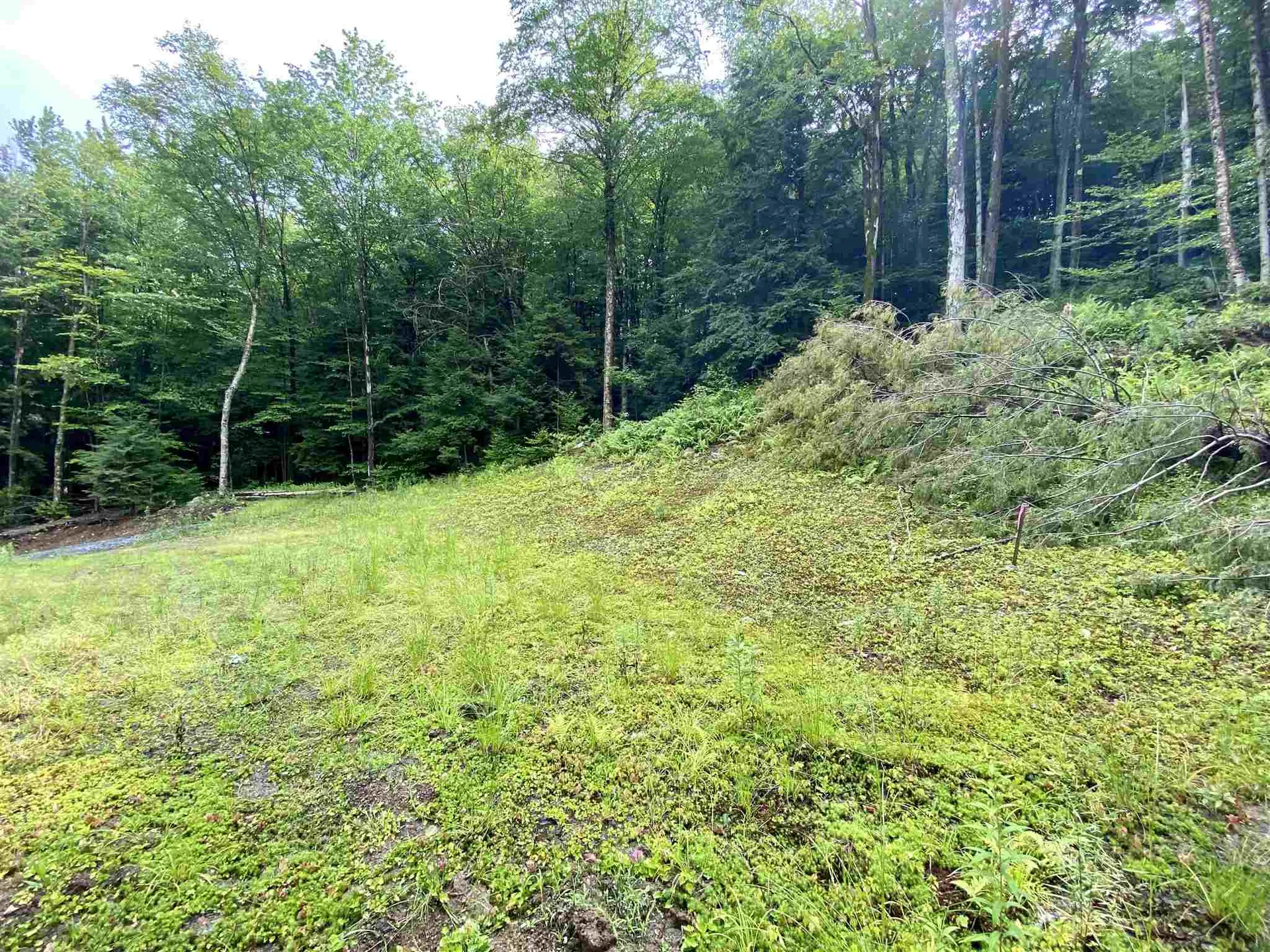 13 & 14 Andrea Drive Stamford VT 05352
