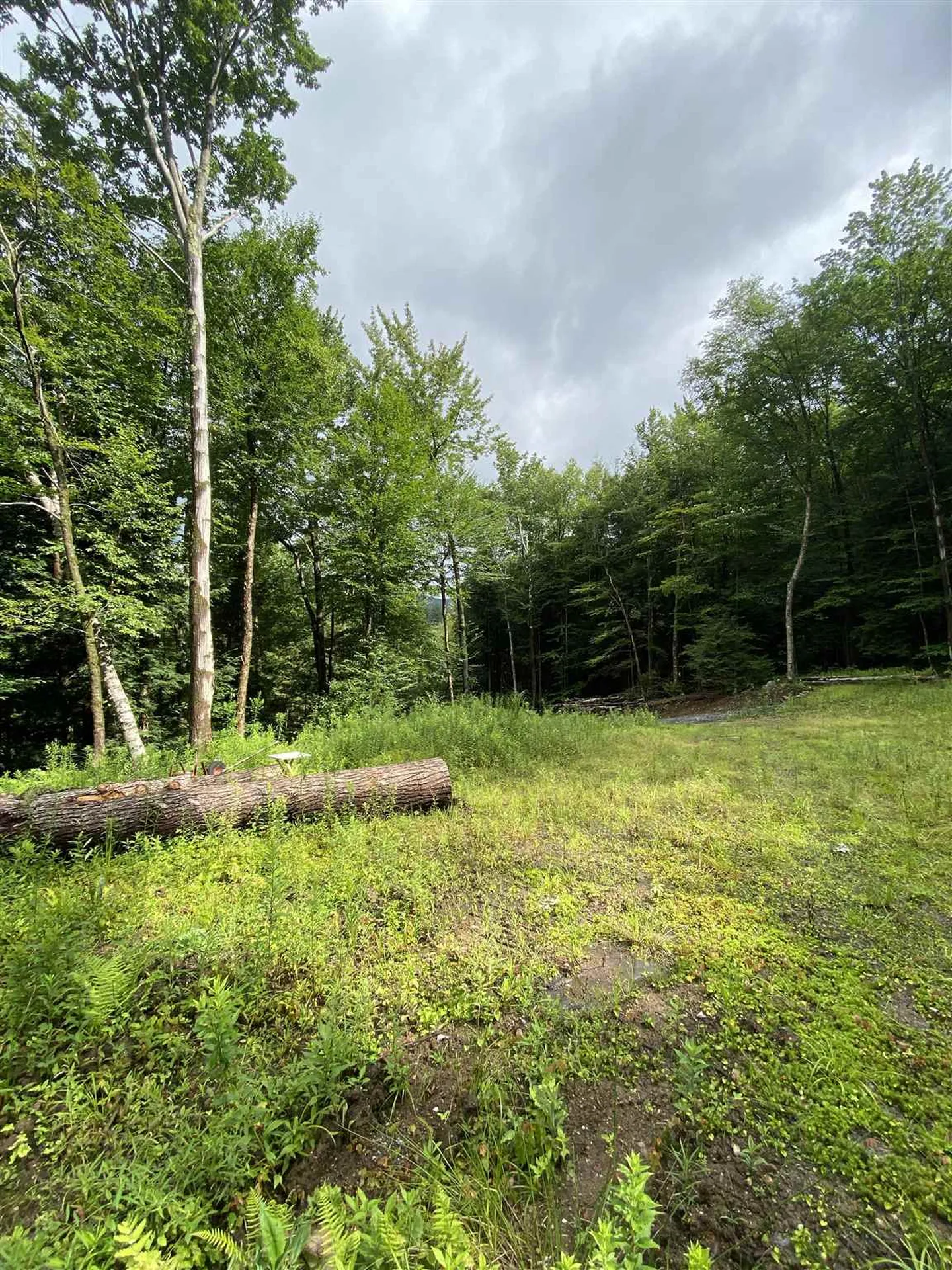 13 & 14 Andrea Drive Stamford VT 05352