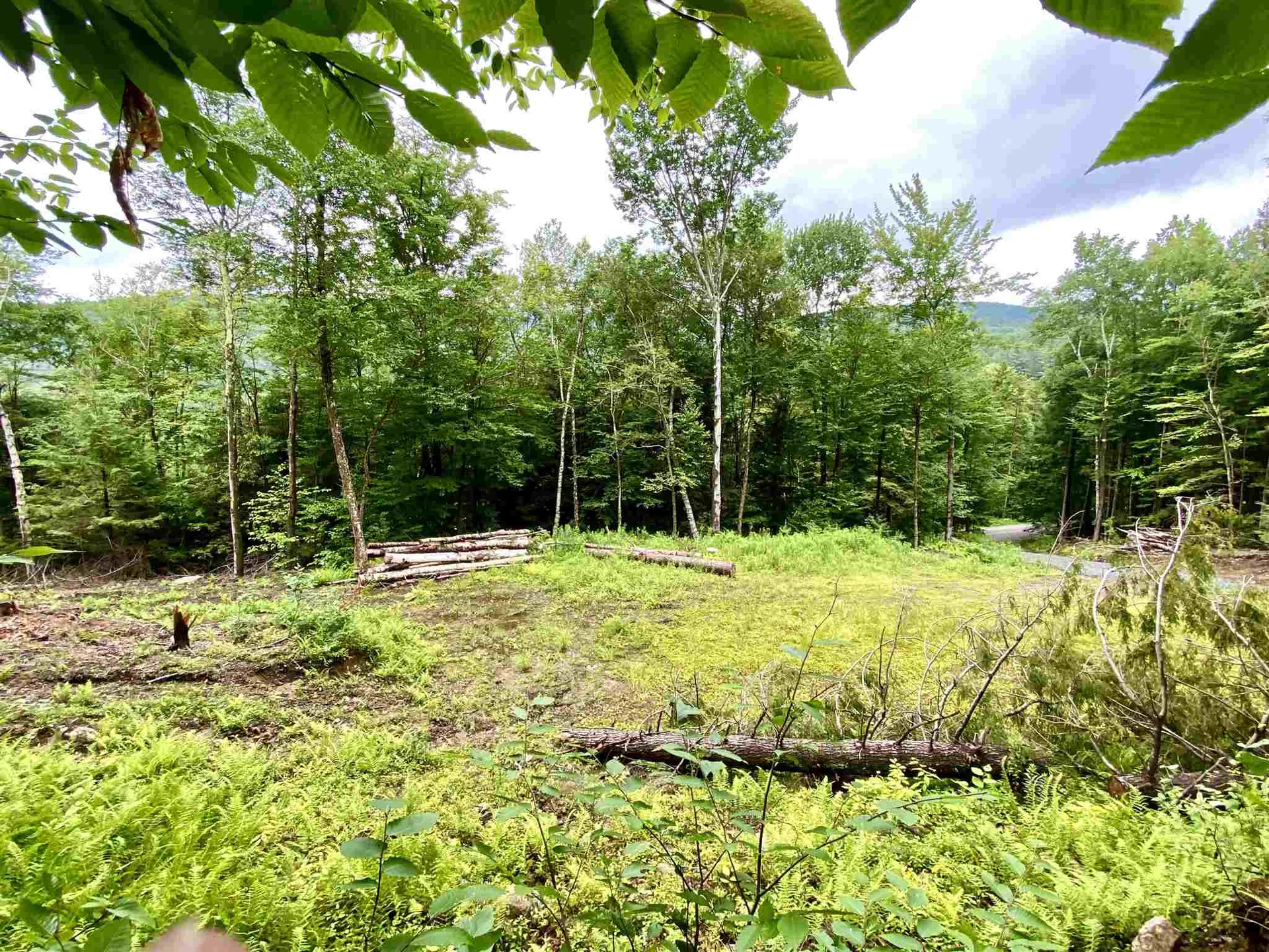 13 & 14 Andrea Drive Stamford VT 05352