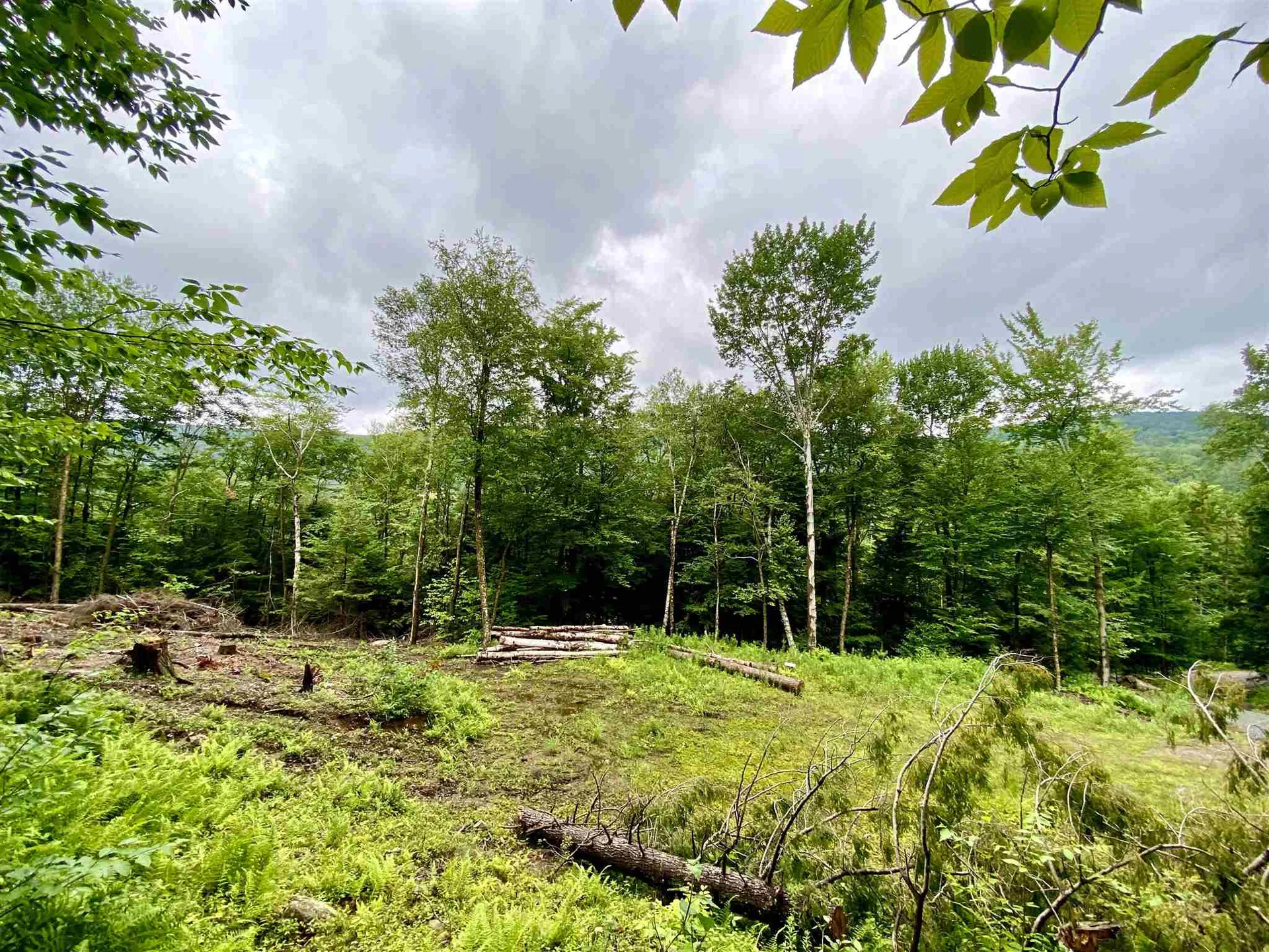 13 & 14 Andrea Drive Stamford VT 05352