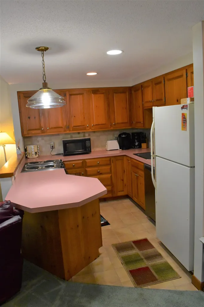 841 Cove Drive Grantham NH 03753