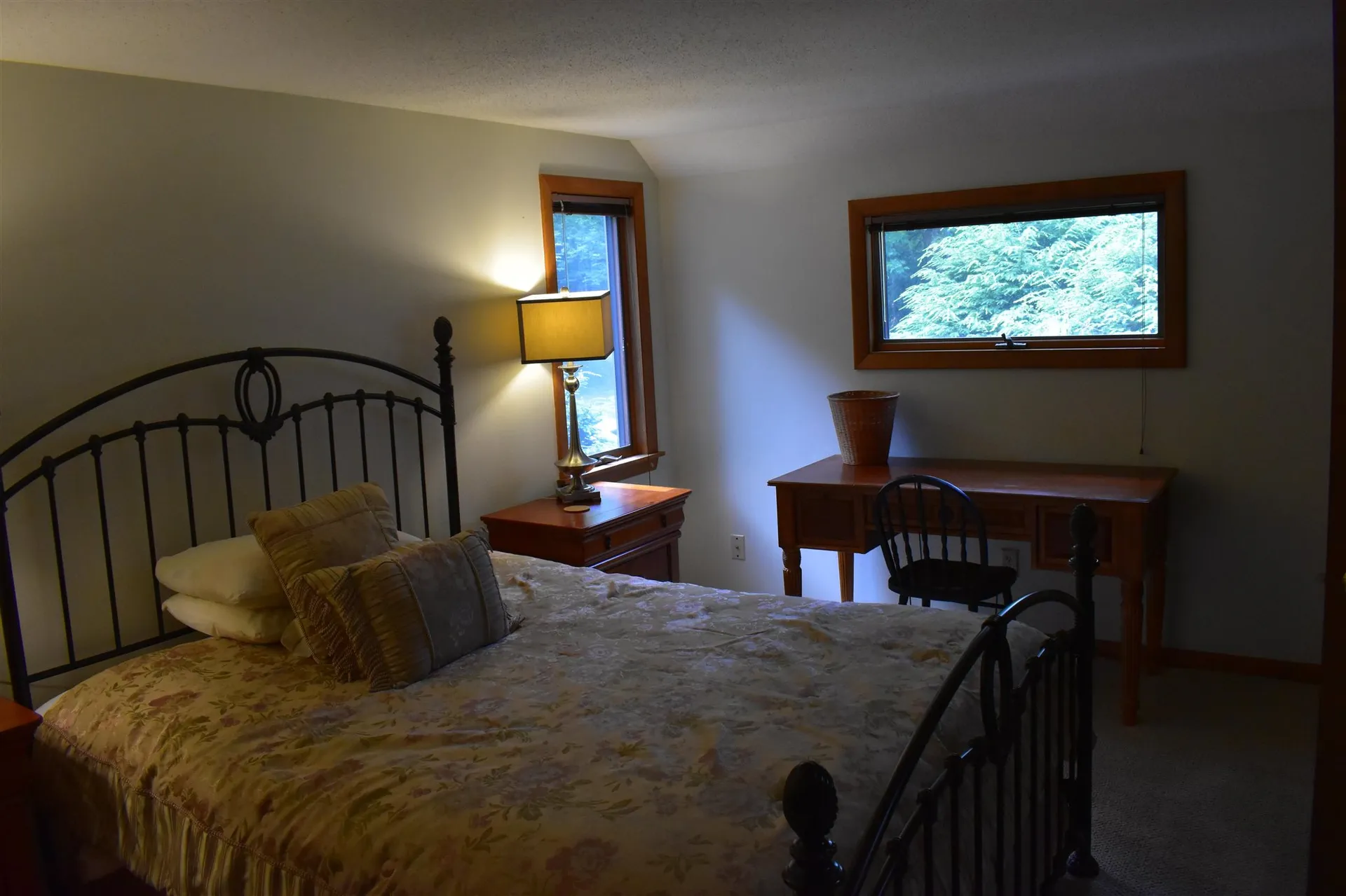 841 Cove Drive Grantham NH 03753