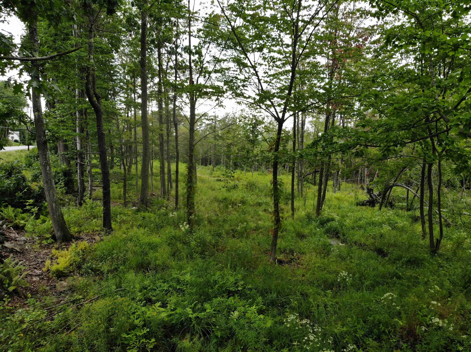 00 Turnpike Road New Ipswich NH 03071