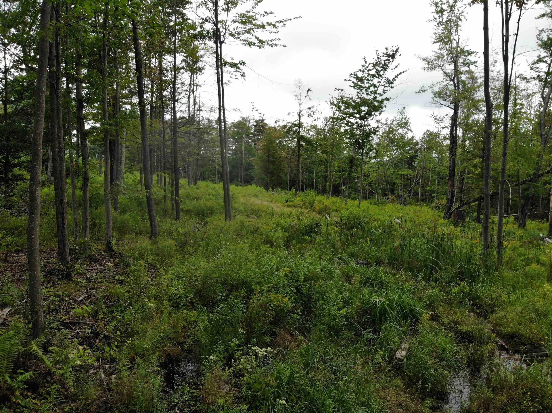 00 Turnpike Road New Ipswich NH 03071