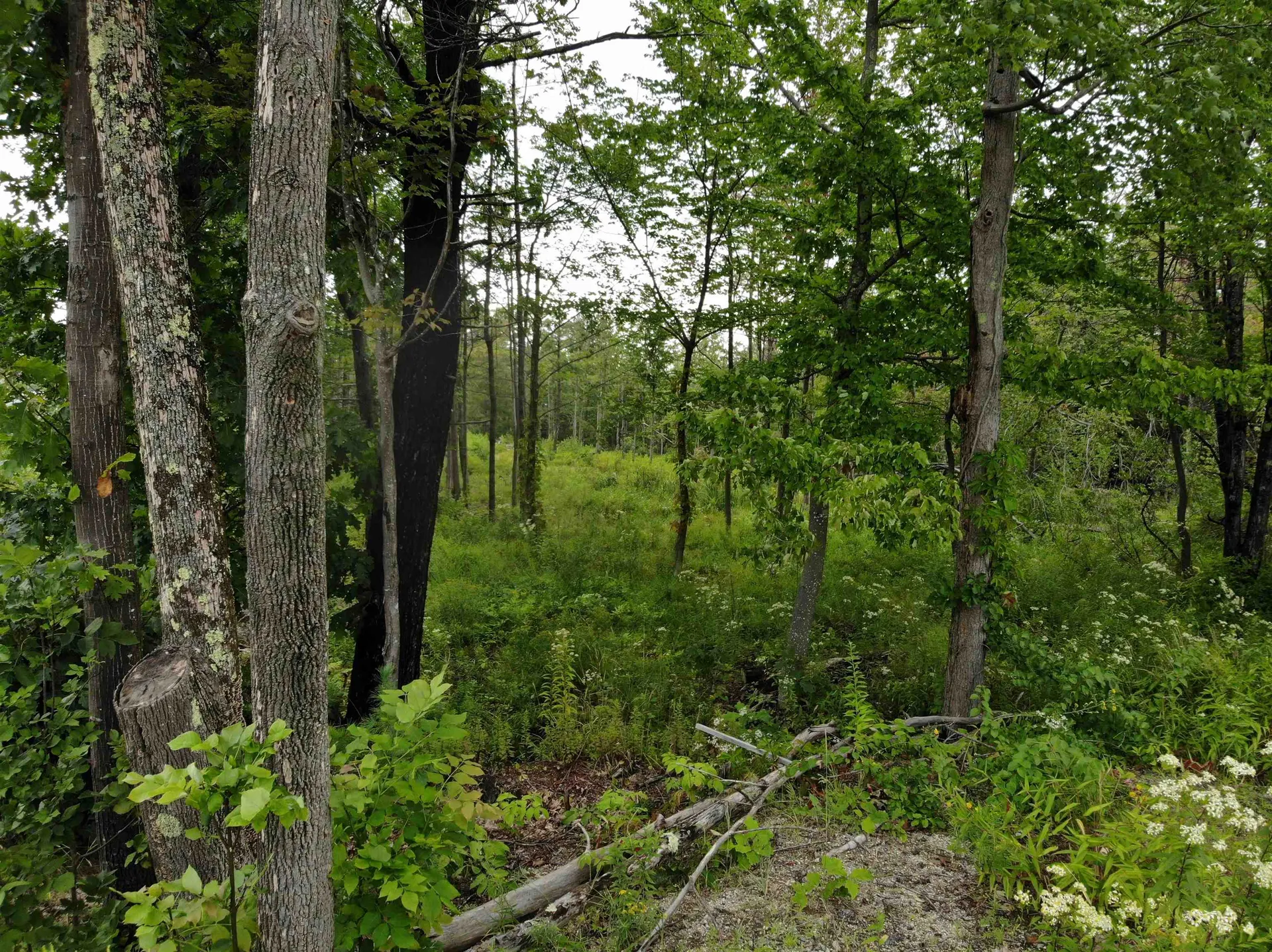 00 Turnpike Road New Ipswich NH 03071