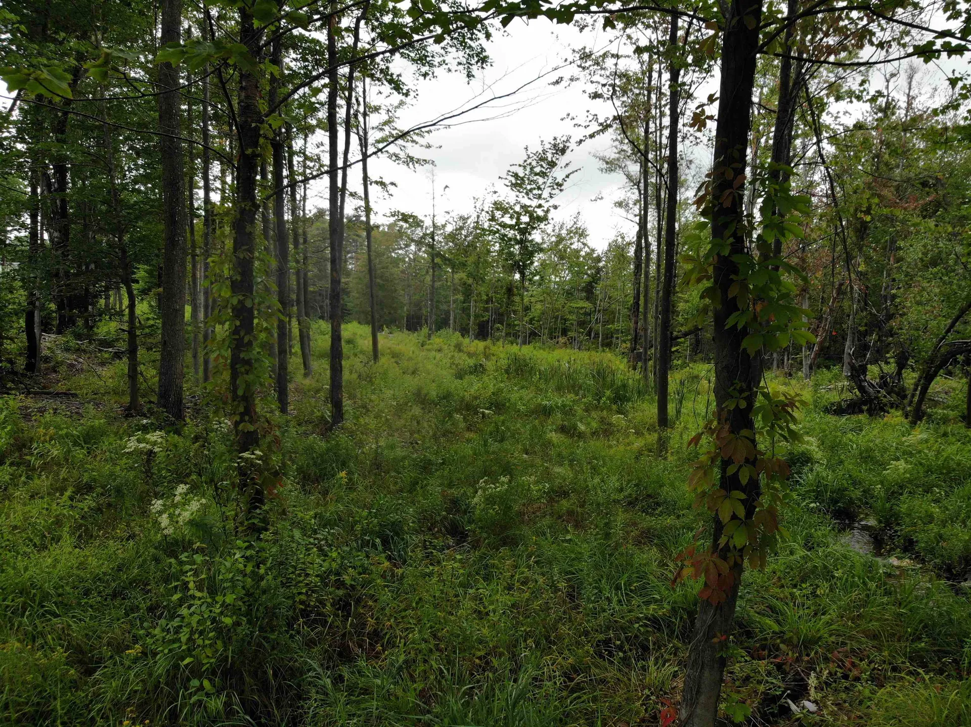 00 Turnpike Road New Ipswich NH 03071