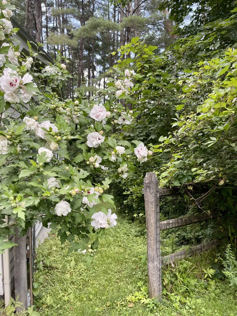 3 Dunster Terrace Hanover NH 03755