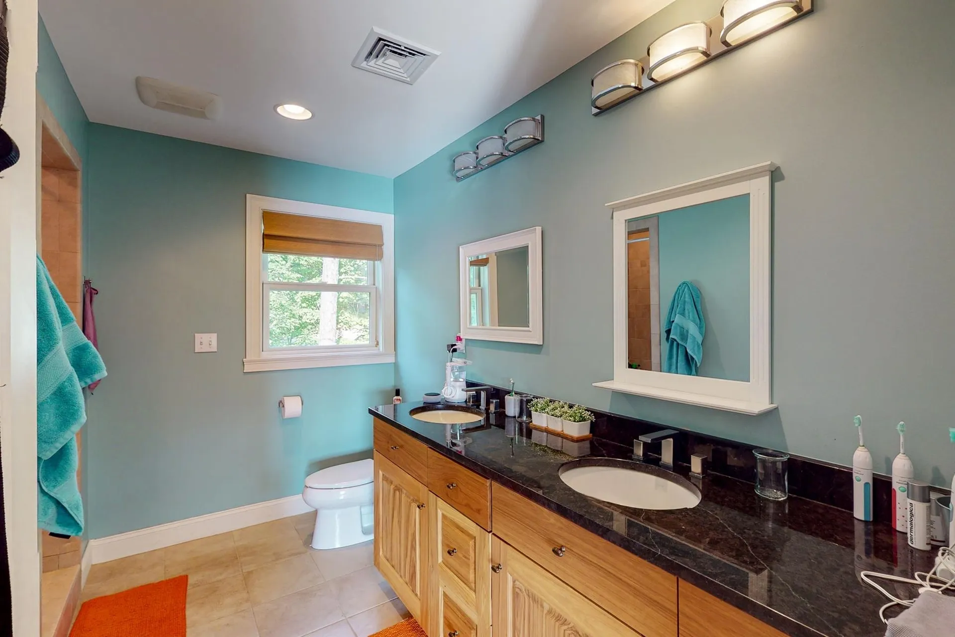 41 Violet Way Wakefield NH 03872