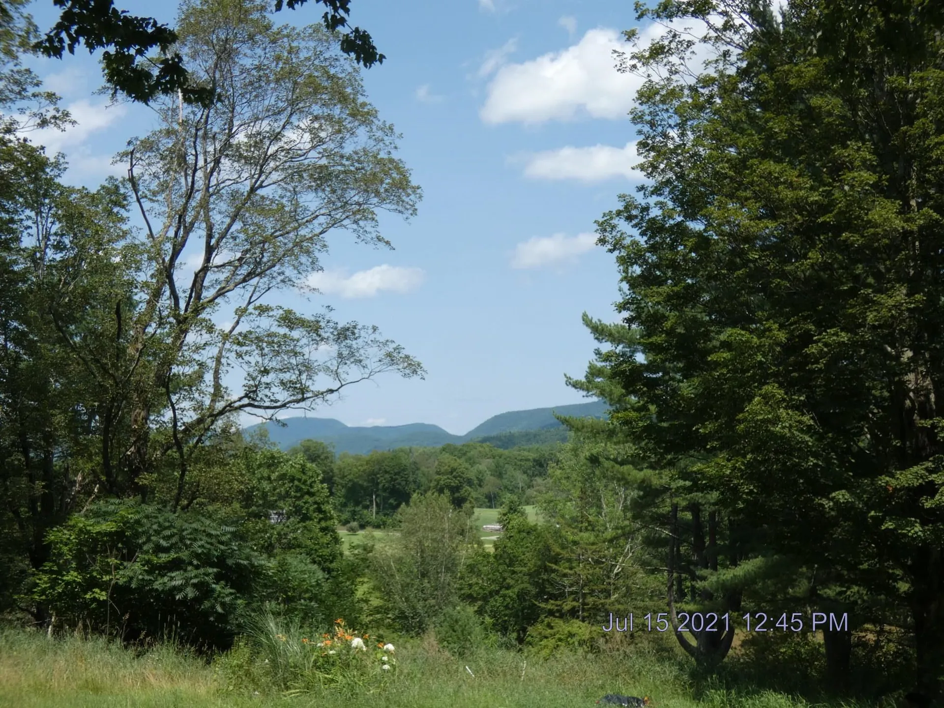 3936 Route 153 Pawlet VT 05775