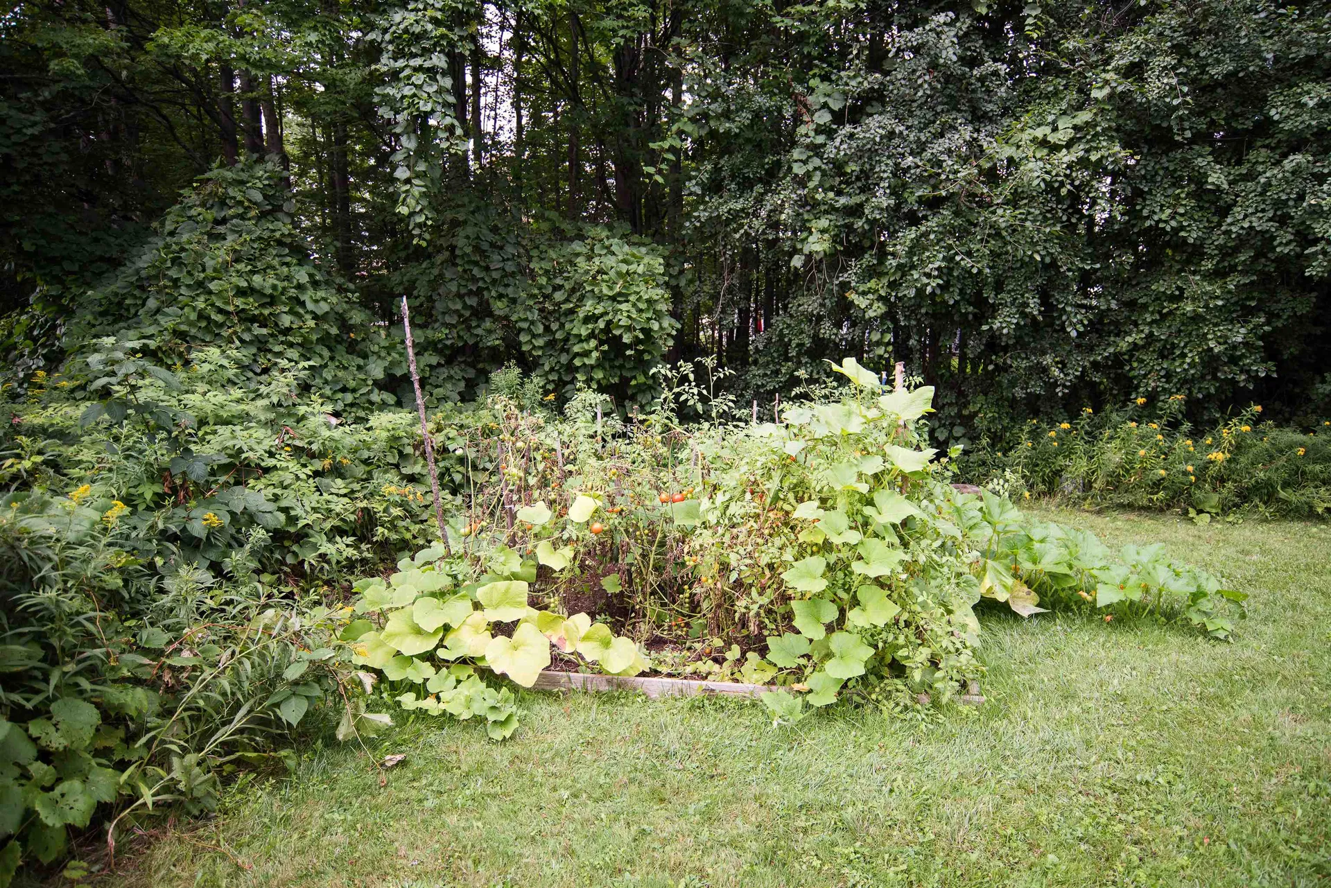 17 Craftsbury Court Essex VT 05452