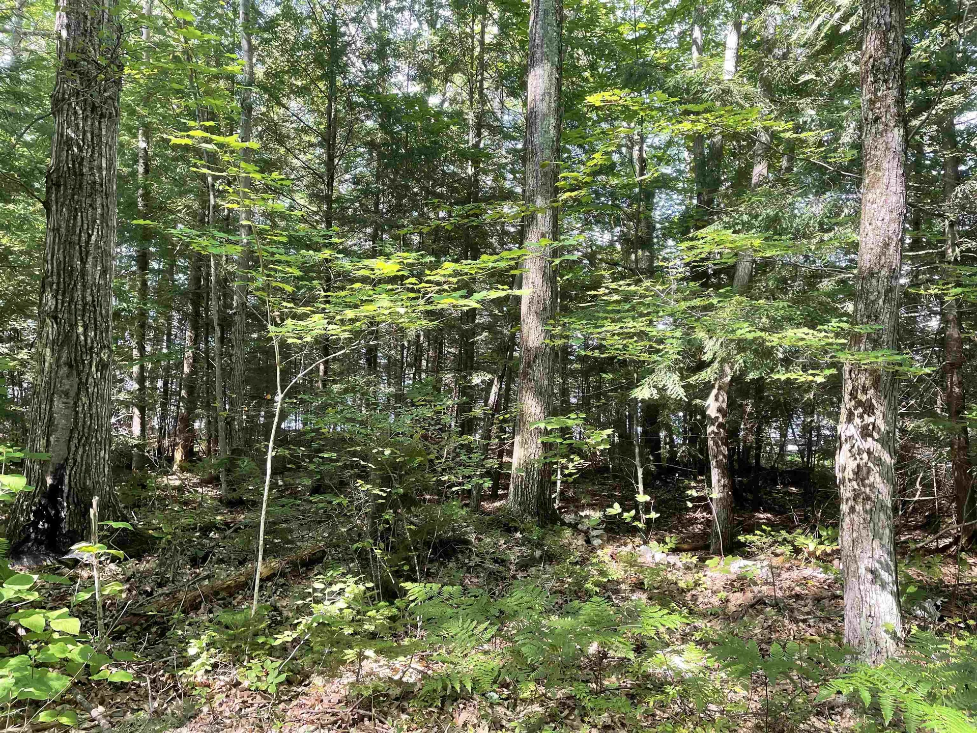 00 Moss Flower Lane Canaan NH 03741