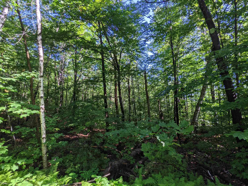 111 Young Road Gilford NH 03249