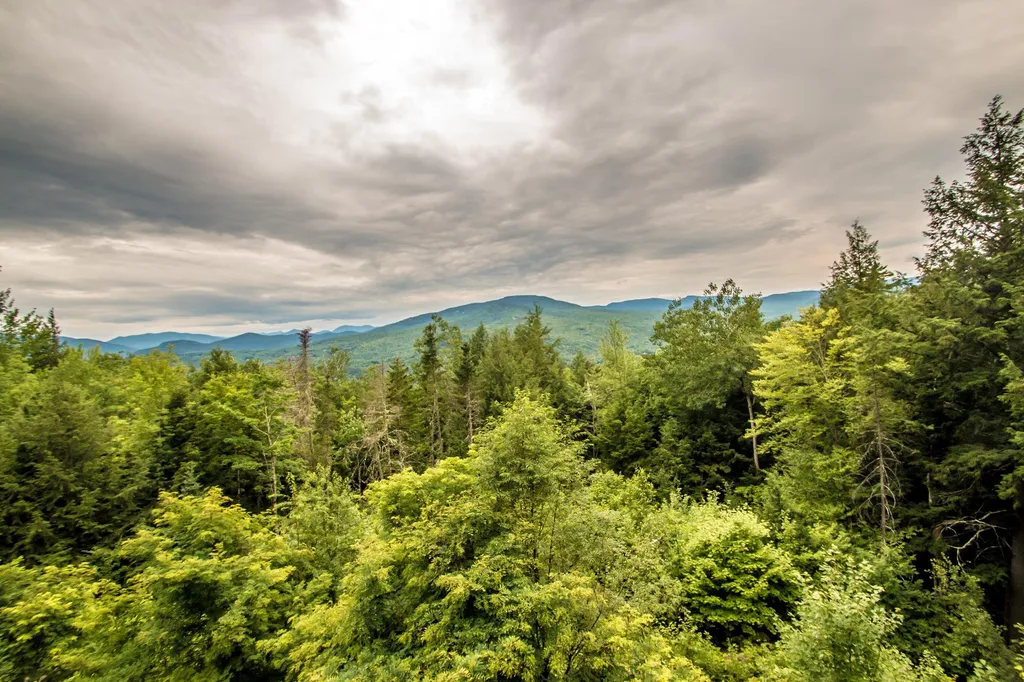 207 Switchback Way Jackson NH 03846