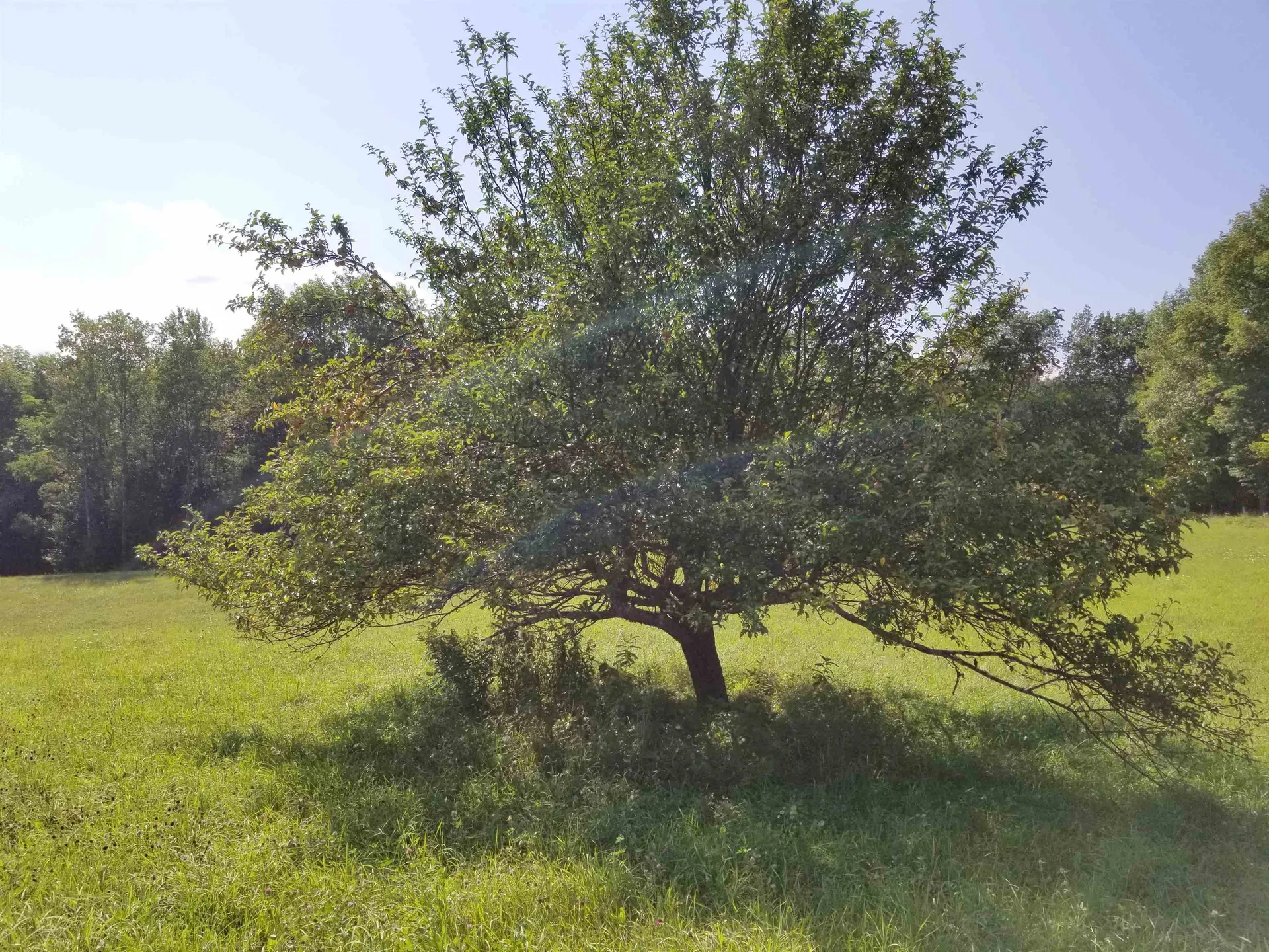 121 Geer Orchard Lane Corinth VT 05039