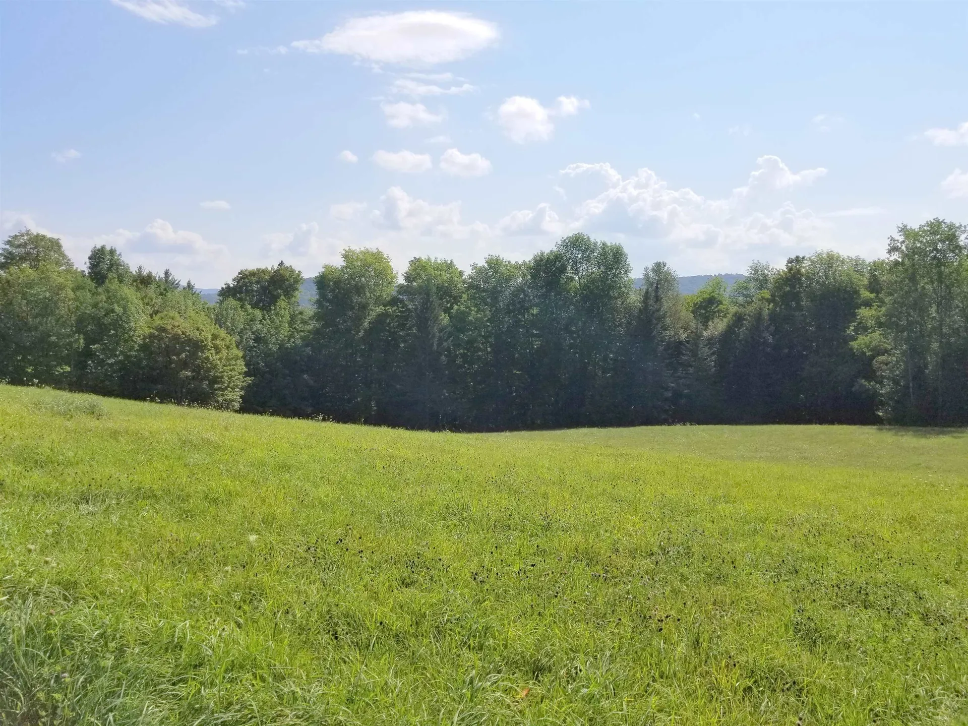 121 Geer Orchard Lane Corinth VT 05039