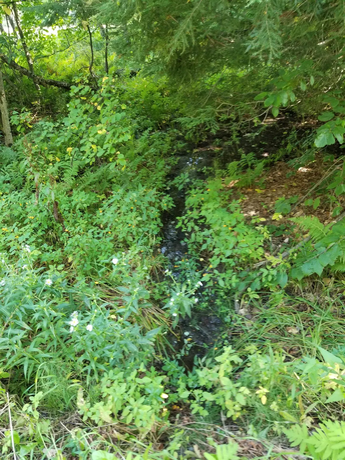121 Geer Orchard Lane Corinth VT 05039