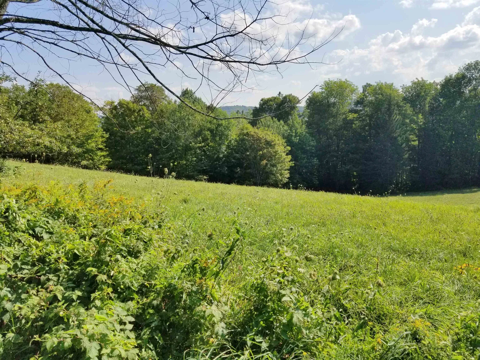 121 Geer Orchard Lane Corinth VT 05039