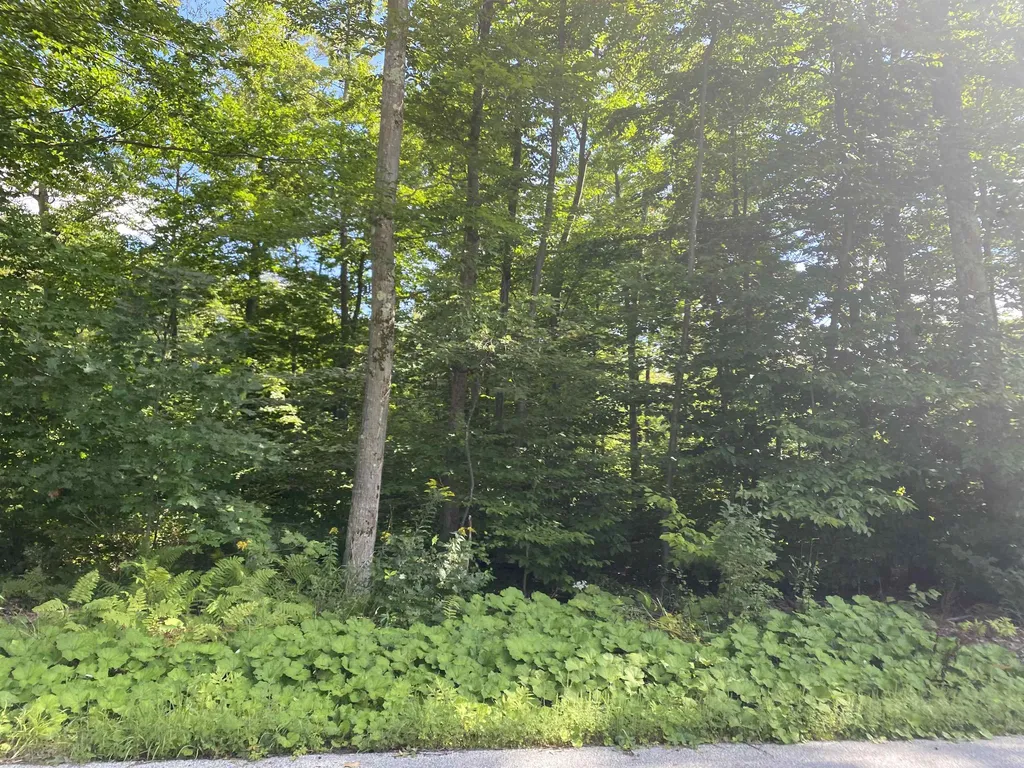 1213 Gore Road Bennington VT 05201