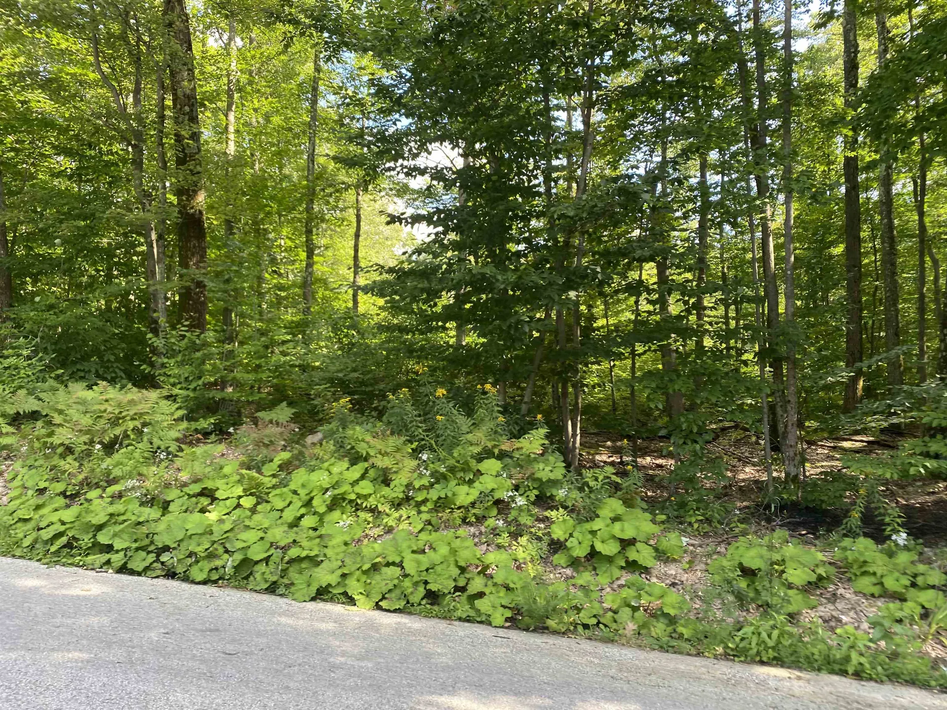 1213 Gore Road Bennington VT 05201
