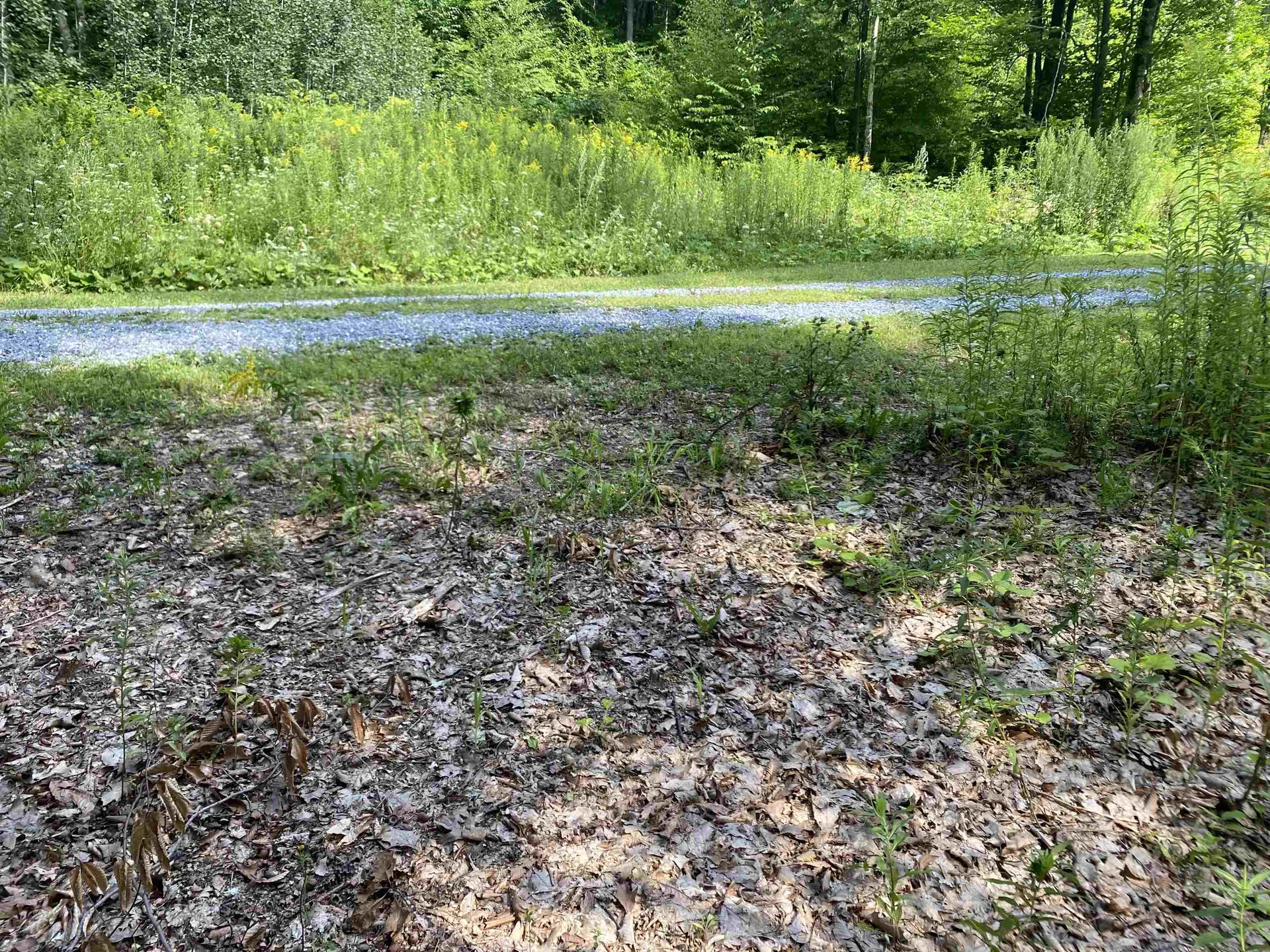 1213 Gore Road Bennington VT 05201