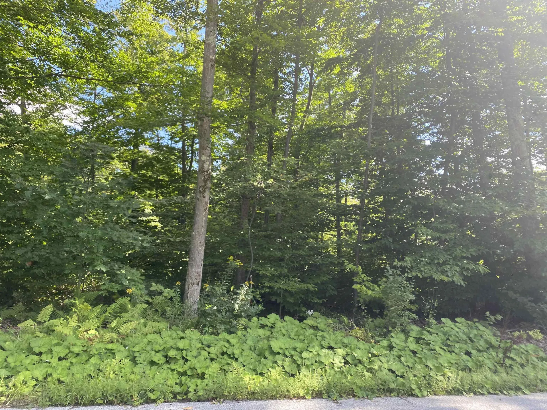 1213 Gore Road Bennington VT 05201