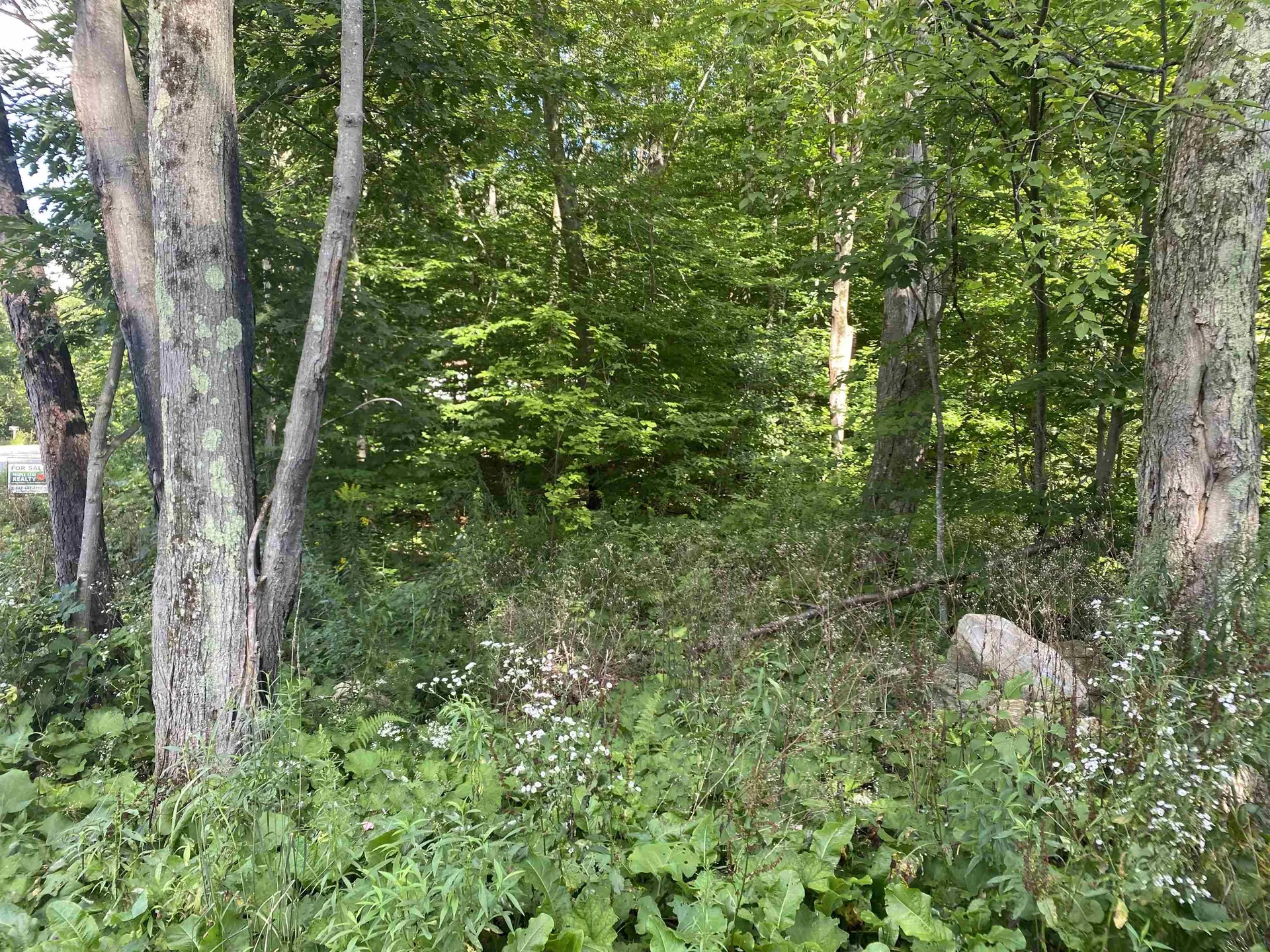 1213 Gore Road Bennington VT 05201
