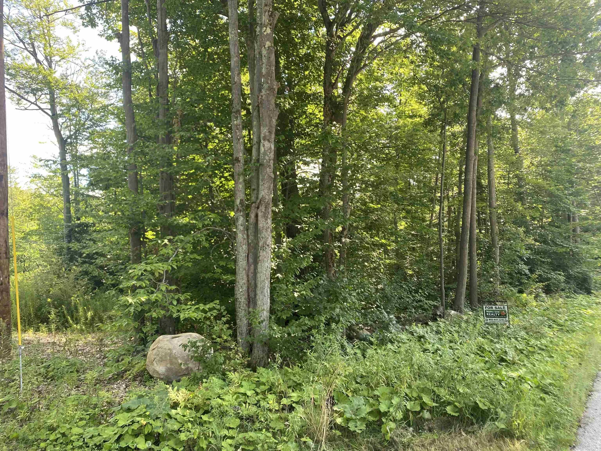 1213 Gore Road Bennington VT 05201