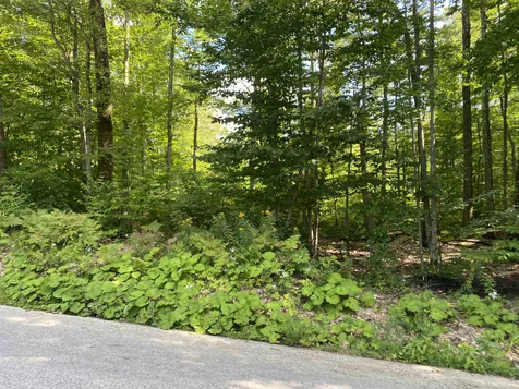1213 Gore Road Bennington VT 05201