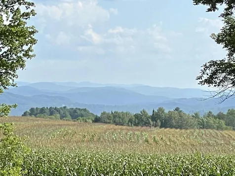 1847 Gaskell Hill Road Burke VT 05871