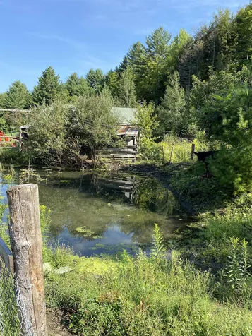 96 Hemlock Lane Randolph VT 05060-4434