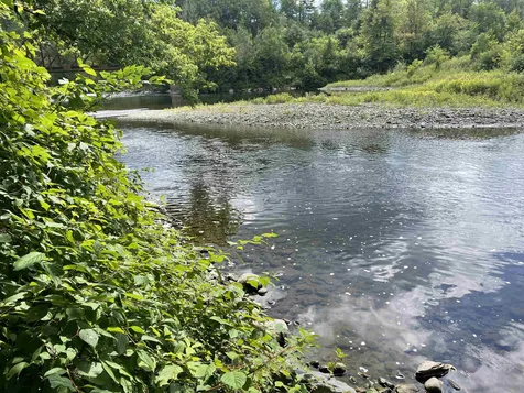 4401 Us Route 5 Barnet VT 05821