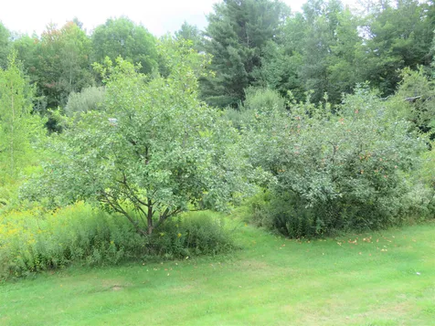 371 Belle Vista Road Troy VT 05859