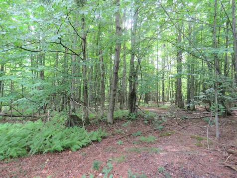 371 Belle Vista Road Troy VT 05859