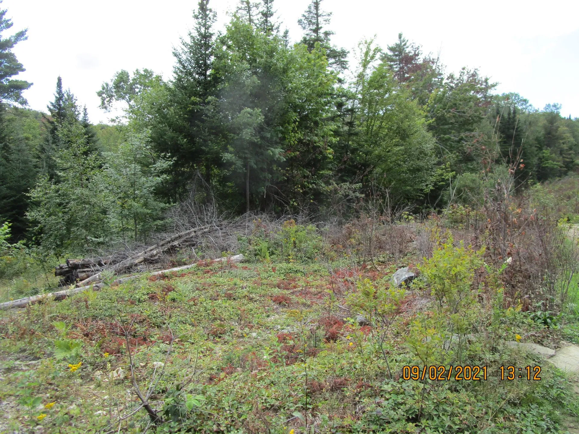 00 Hurlbutt Hill Waterford VT 05848
