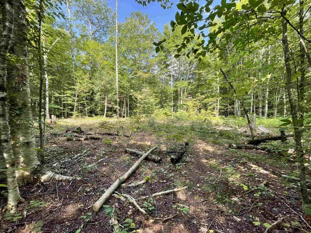 Grand Hollow Road Warren VT 05674