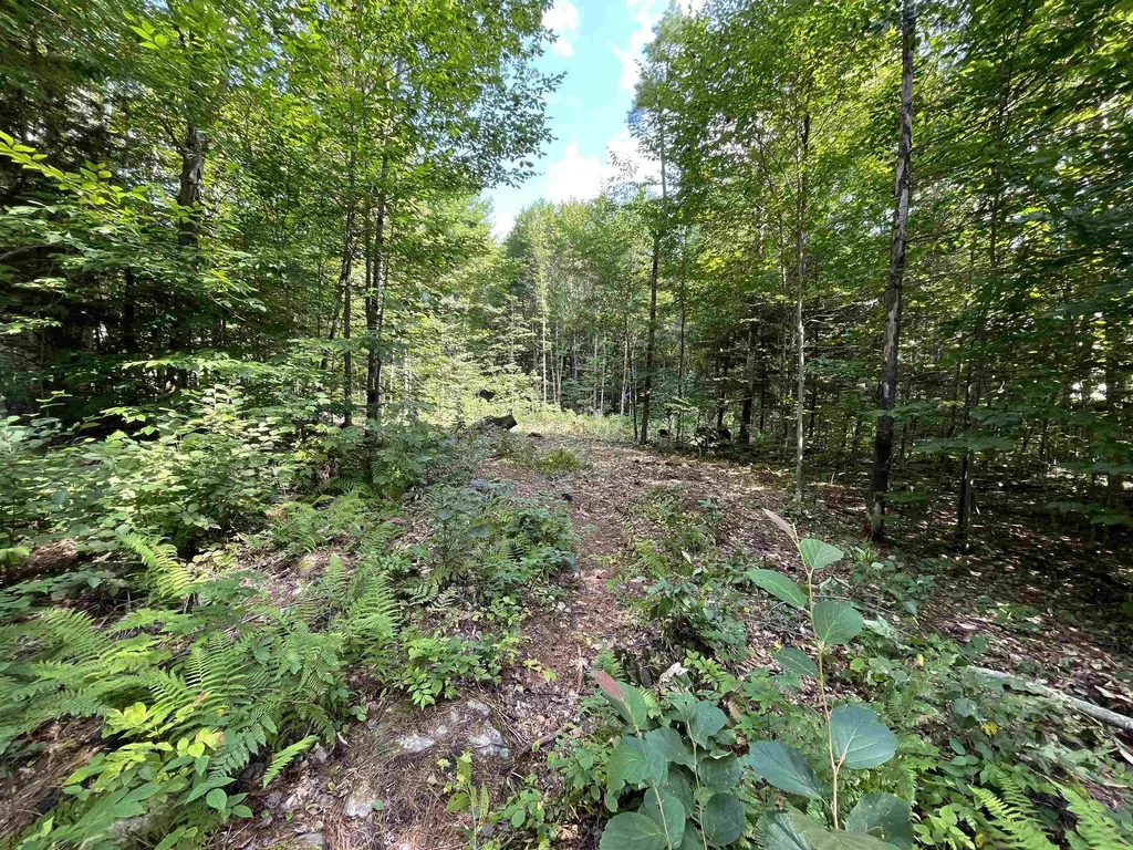 Grand Hollow Road Warren VT 05674