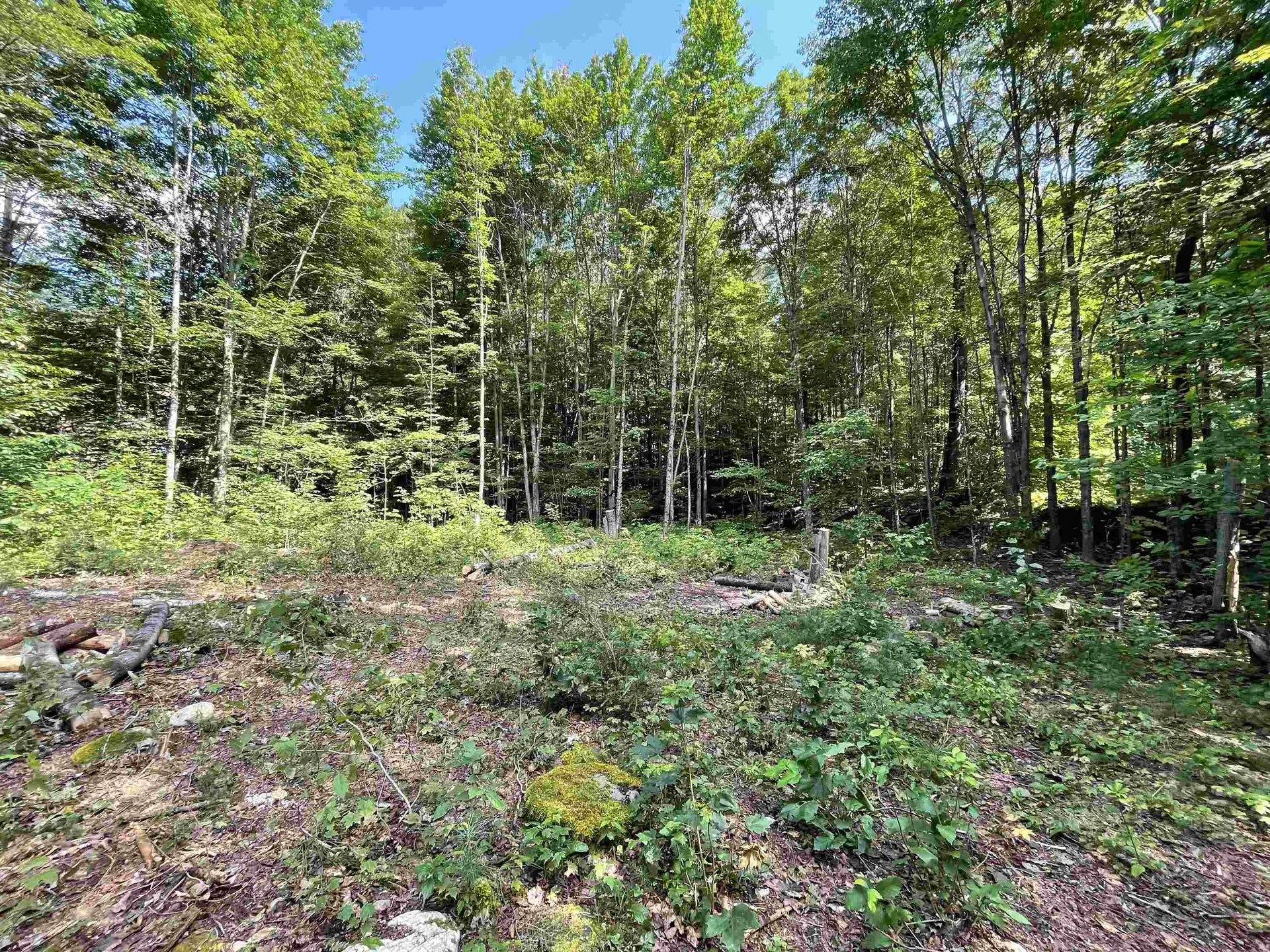 Grand Hollow Road Warren VT 05674