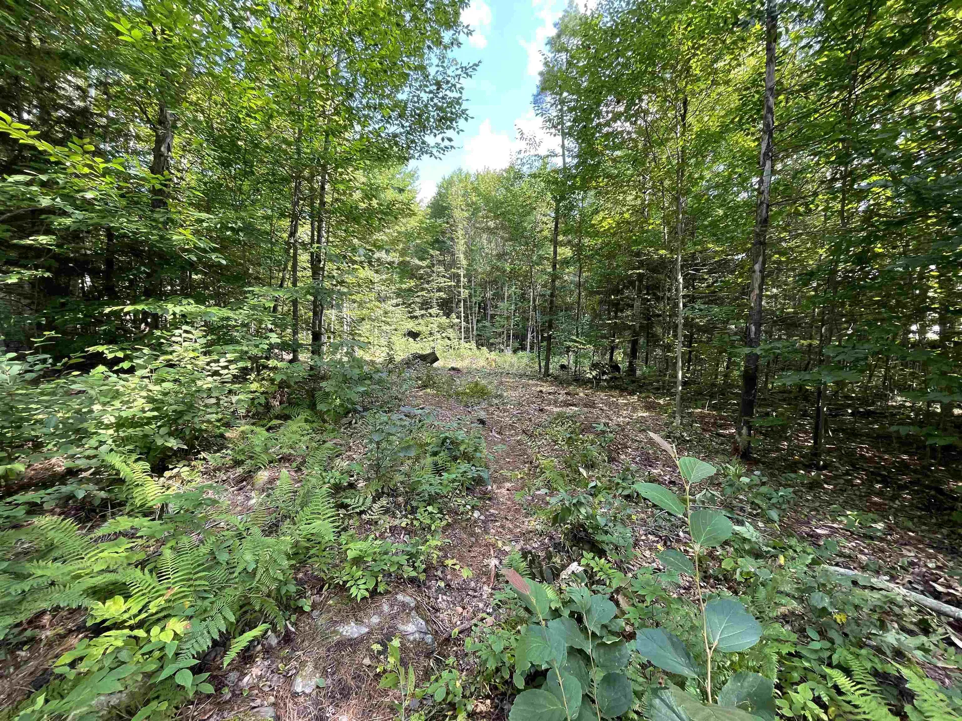 Grand Hollow Road Warren VT 05674