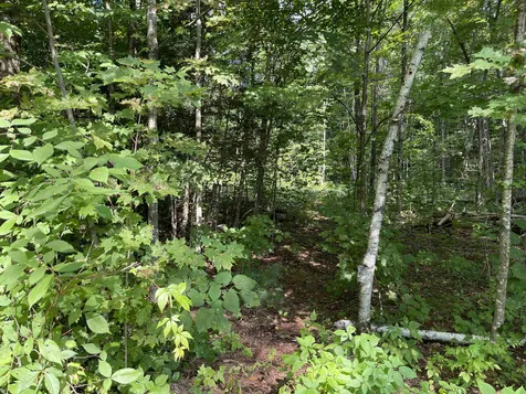 Grand Hollow Road Warren VT 05674