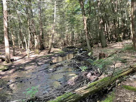 46 Fremont Road Chester NH 03036