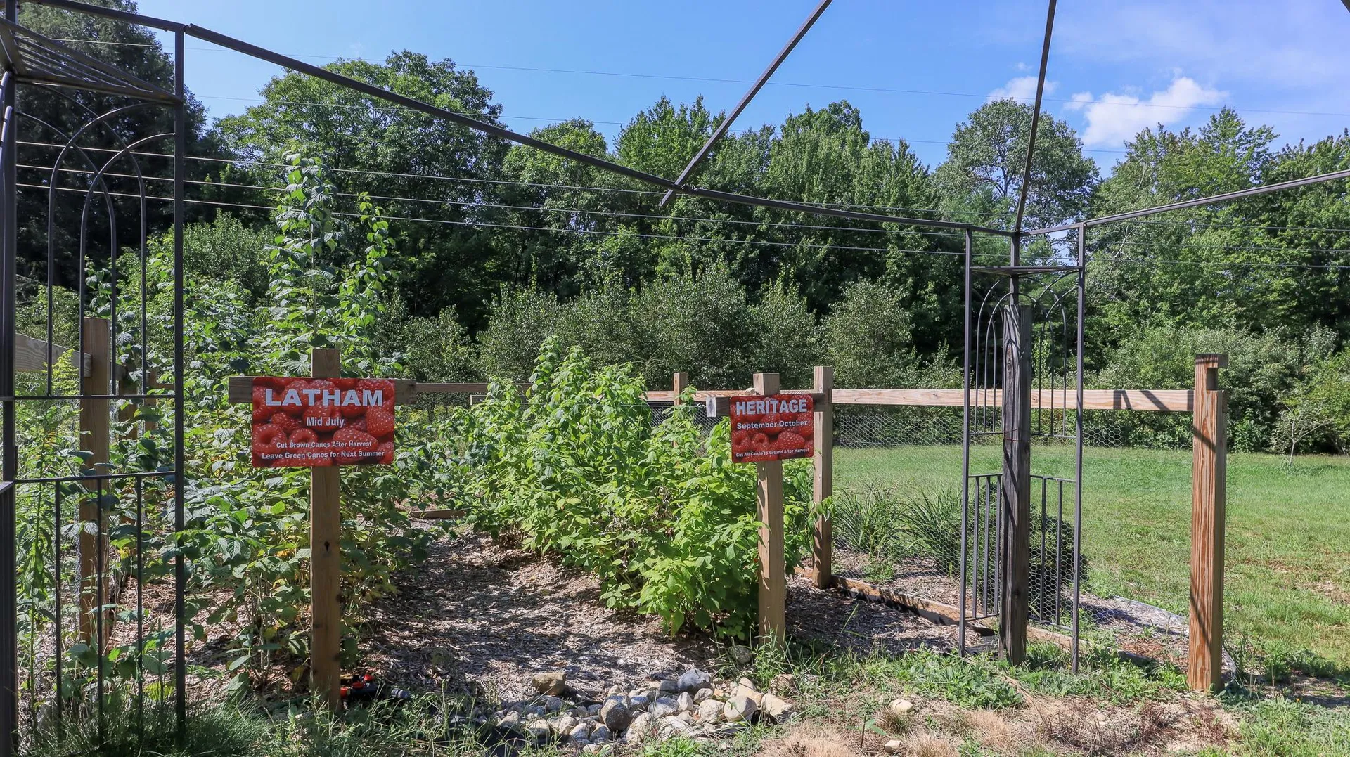 270 Deering Center Road Deering NH 03244-6502